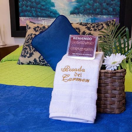 Hotel Posada Del Carmen San Luis Potosí Eksteriør bilde
