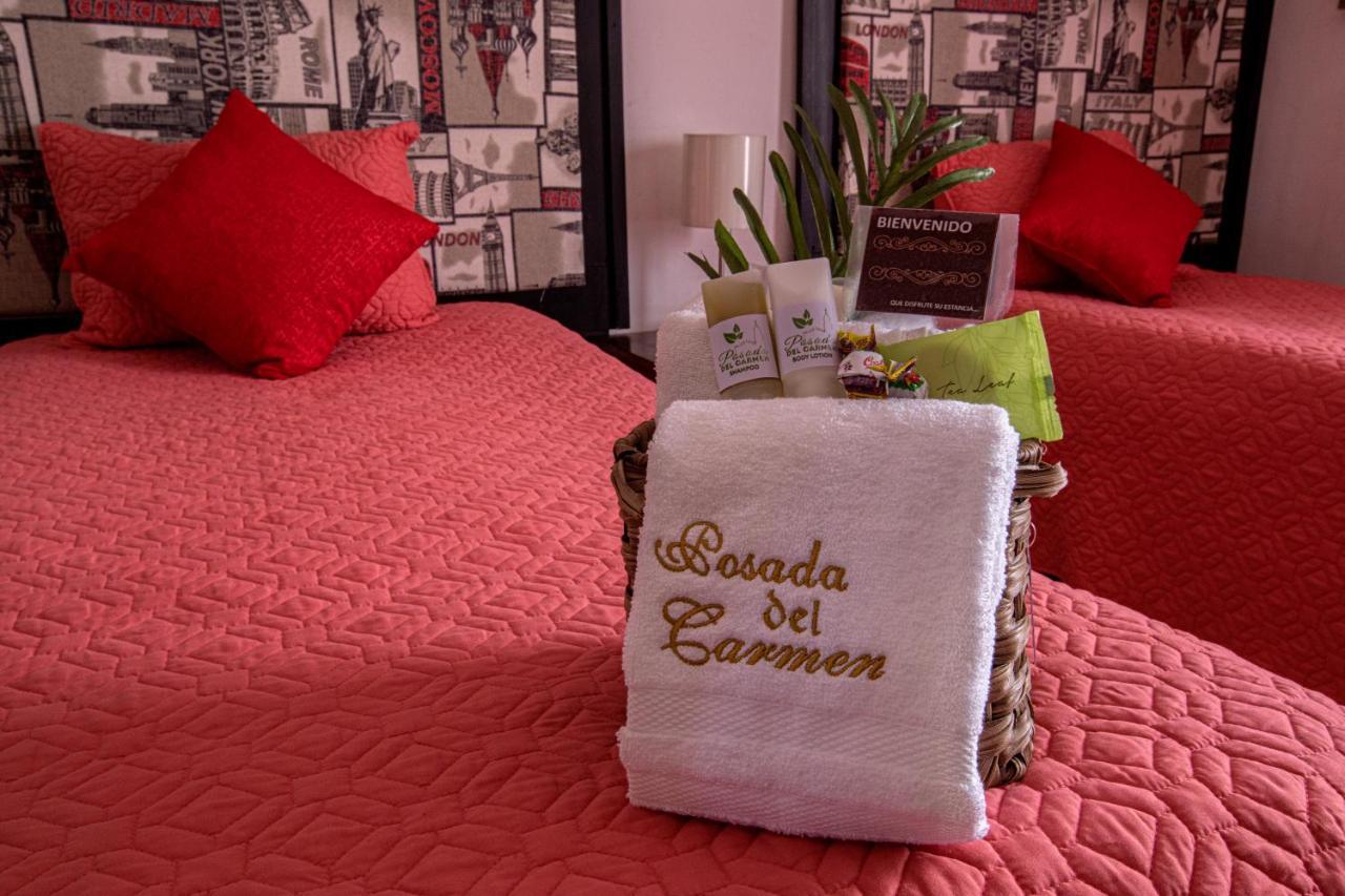 Hotel Posada Del Carmen San Luis Potosí Eksteriør bilde