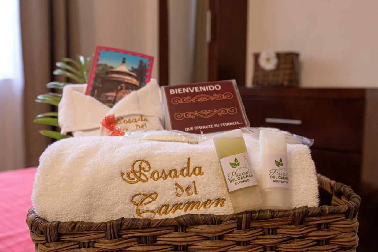 Hotel Posada Del Carmen San Luis Potosí Eksteriør bilde